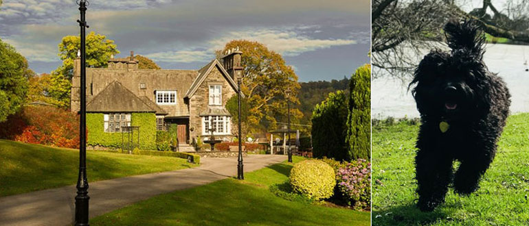 Top dog friendly Hotels