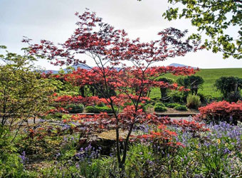 Hope Park