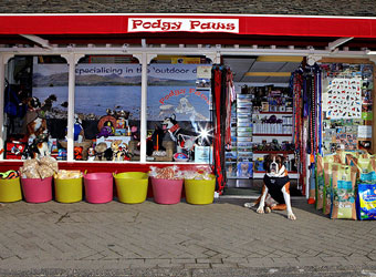 Podgy Paws