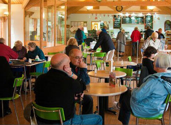Fellibites Cafe